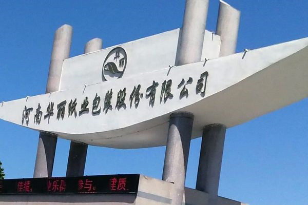 河南華麗包裝廠燃?xì)忮仩t,燃?xì)庹羝仩t